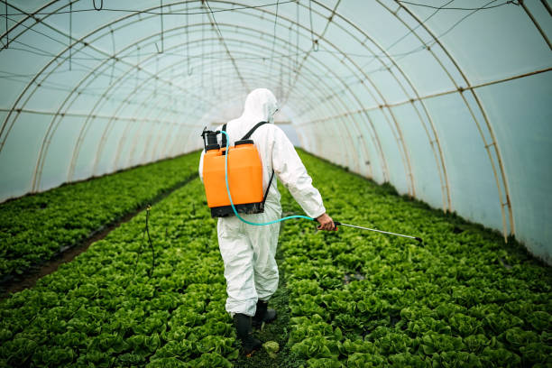 Best Pest Control Near Me in Lake Dunlap, TX