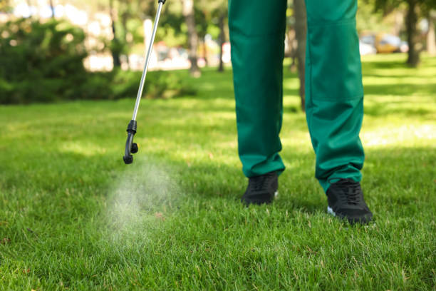Best Ant Control Services  in Lake Dunlap, TX