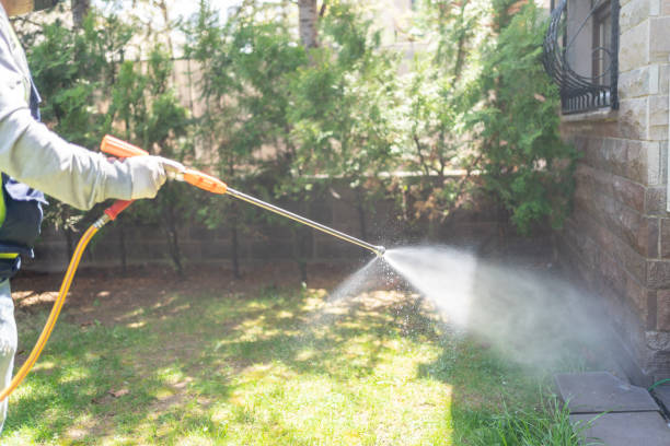 Best Spider Control Near Me  in Lake Dunlap, TX