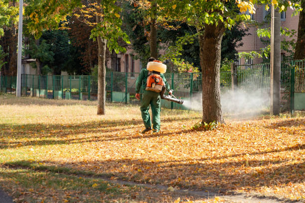 Best Commercial Pest Control Services  in Lake Dunlap, TX