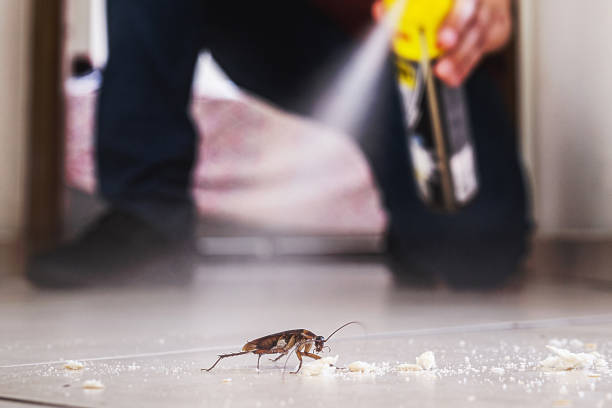 Best Bed Bug Extermination  in Lake Dunlap, TX