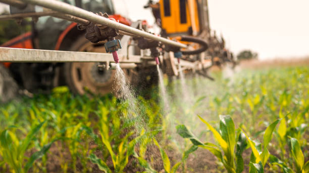 Best Ant Control Services  in Lake Dunlap, TX